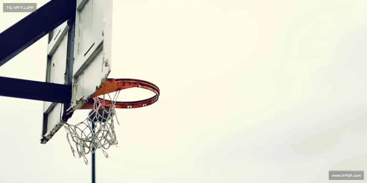 米兰官网首页登录球场上的每一次跳跃,都是对天空的挑战!⛹️♂️